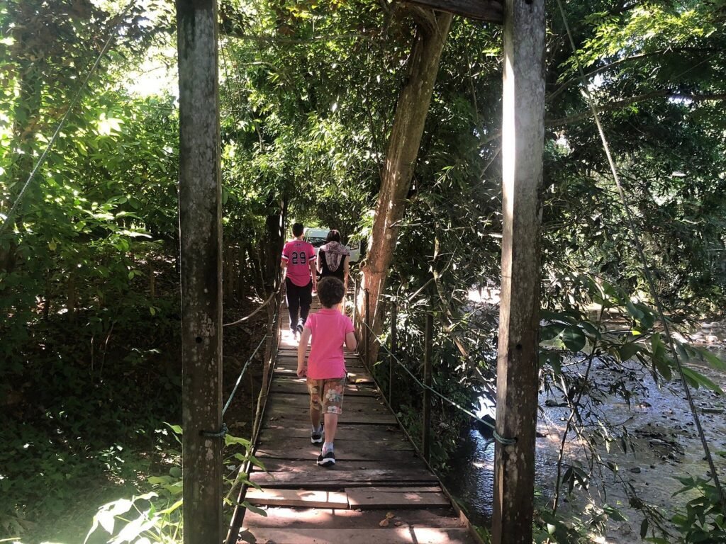 La Impresionante Ruta del Cacao Orgánico 2025