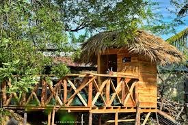 La Experiencia Taína 2025 La Ruta de la YUCA